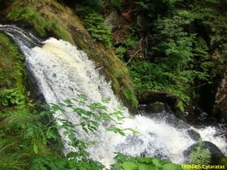 TRIBERG Cataratas 
 