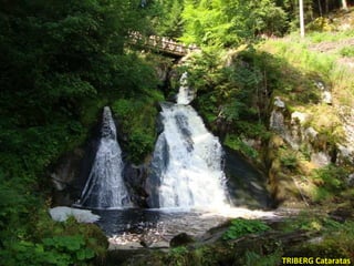 TRIBERG Cataratas 
 