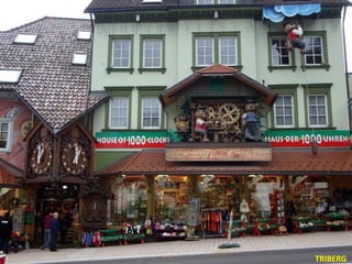 TRIBERG 
 