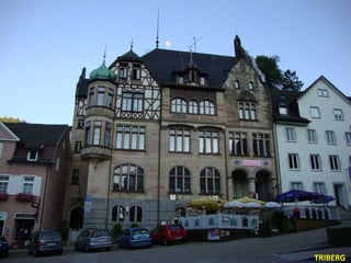 TRIBERG 
 