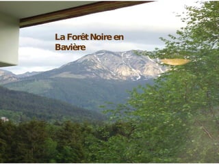 La Forêt Noire en Bavière 
