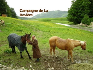 Campagne de La Bavière 