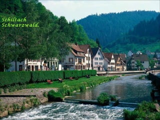 Schiltach
Schwarzwald.
 