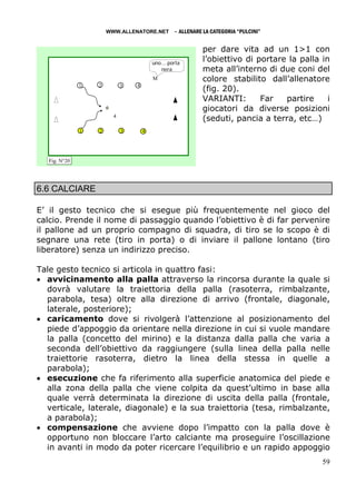WWW.ALLENATORE.NET         - ALLENARE LA CATEGORIA “PULCINI”

                                                            per dare vita ad un 1>1 con
                                         uno....porta
                                                            l’obiettivo di portare la palla in
                                            nera            meta all’interno di due coni del
                                         M                  colore stabilito dall’allenatore
                                                            (fig. 20).
               1   2         3   4

                                                            VARIANTI:       Far   partire     i
                                                            giocatori da diverse posizioni
                         4
                                                            (seduti, pancia a terra, etc…)
               1   2         3       4




   Fig. N°20




6.6 CALCIARE

E’ il gesto tecnico che si esegue più frequentemente nel gioco del
calcio. Prende il nome di passaggio quando l’obiettivo è di far pervenire
il pallone ad un proprio compagno di squadra, di tiro se lo scopo è di
segnare una rete (tiro in porta) o di inviare il pallone lontano (tiro
liberatore) senza un indirizzo preciso.

Tale gesto tecnico si articola in quattro fasi:
• avvicinamento alla palla attraverso la rincorsa durante la quale si
  dovrà valutare la traiettoria della palla (rasoterra, rimbalzante,
  parabola, tesa) oltre alla direzione di arrivo (frontale, diagonale,
  laterale, posteriore);
• caricamento dove si rivolgerà l’attenzione al posizionamento del
  piede d’appoggio da orientare nella direzione in cui si vuole mandare
  la palla (concetto del mirino) e la distanza dalla palla che varia a
  seconda dell’obiettivo da raggiungere (sulla linea della palla nelle
  traiettorie rasoterra, dietro la linea della stessa in quelle a
  parabola);
• esecuzione che fa riferimento alla superficie anatomica del piede e
  alla zona della palla che viene colpita da quest’ultimo in base alla
  quale verrà determinata la direzione di uscita della palla (frontale,
  verticale, laterale, diagonale) e la sua traiettoria (tesa, rimbalzante,
  a parabola);
• compensazione che avviene dopo l’impatto con la palla dove è
  opportuno non bloccare l’arto calciante ma proseguire l’oscillazione
  in avanti in modo da poter ricercare l’equilibrio e un rapido appoggio
                                                                                            59
 