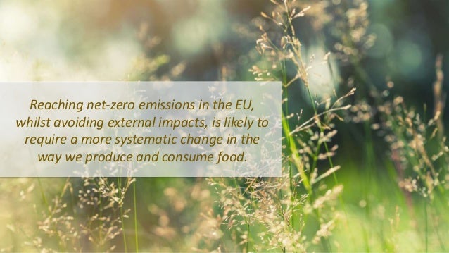 Reaching net-zero emissions in the EU,
whilst avoiding external impacts, is likely to
require a more systematic change in ...