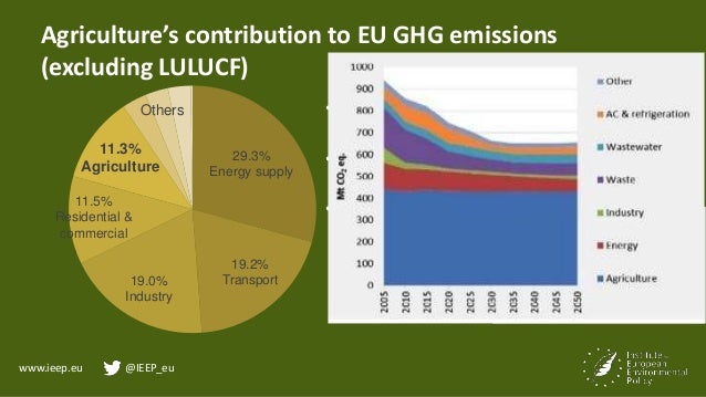 www.ieep.eu @IEEP_eu
Agriculture’s contribution to EU GHG emissions
(excluding LULUCF)
29.3%
Energy supply
19.2%
Transport...