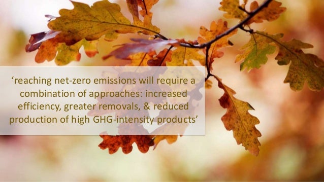 ‘reaching net-zero emissions will require a
combination of approaches: increased
efficiency, greater removals, & reduced
p...