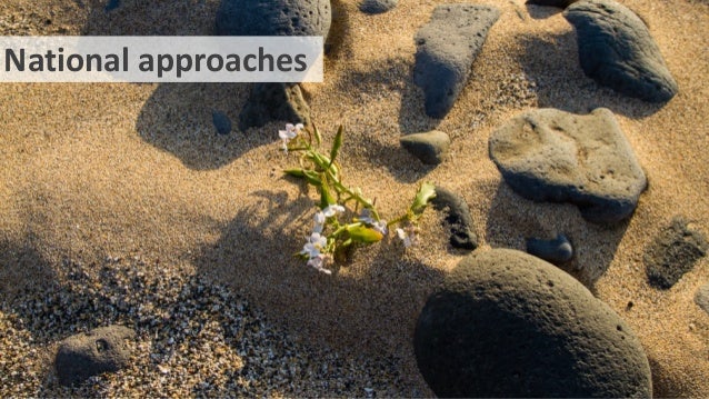 National approaches
 