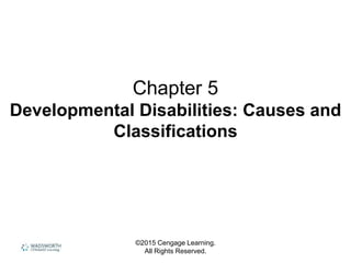 ©2015 Cengage Learning.
All Rights Reserved.
Chapter 5
Developmental Disabilities: Causes and
Classifications
 