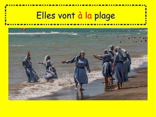 Elles vont à la plage
 