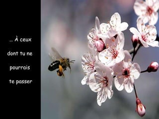 …   À ceux  dont tu ne  pourrais  te passer 