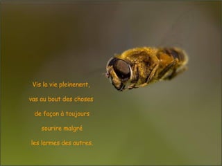 Vis la vie pleinenent,  vas au bout des choses  de façon à toujours sourire malgré  les larmes des autres. 