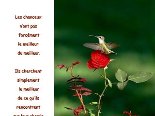 Les chanceux  n’ont pas  forcément le meilleur  du meilleur. Ils cherchent  simplement  le meilleur de ce qu’ils  rencontrent  sur leur chemin. 