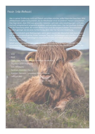 Fleisch (Wild-/Biofleisch)
Wer in seiner Ernährung nicht auf Fleisch verzichten möchte, sollte folgendes beachten. Wild
(Wildschwein selten konsumieren, da sie Allesfresser sind) ist anderem Fleisch vorzuziehen.
Das liegt daran, dass Wild aus gesunden Gebieten optimale Lebensbedingungen vorfindet,
und sich entsprechend artgerecht ernähren und verhalten kann. Das hat positiven Einfluss
auf die Fleischerqualität. Bei einem Blattschuss sind die ausgeschütteten Stresshormone
deutlich geringer als bei einer Schlachtung, denn das Tier hat eine Vorahnung.
Annähernd ähnlich gute Bedingungen, wenn gleich durch den Menschen teils beeinflusst in
z.B. der Nahrungsaufnahme, finden bewegte Tiere vor. Sie bewegen sich draußen in der frei-
en Natur, bekommen überwiegend artgerechtes Futter und haben wenig bis keinen Stress
(bis zur Schlachtung).
Schaf und Ziege eigenen sich nicht zur Massentierhaltung, sind dadurch weniger Stress
ausgesetzt und damit verträglicher für unseren Organismus. Das gleiche gilt für deren „Ne-
benprodukte“.
– Wild
– Rind
– Fisch / bes. Kaltwasserfische (nicht aus Aquakultur!)
– Thunfisch in Olivenöl/natur
– See-/Wildlachs
– Sardinen, Makrelen, Hering
– Krabben, Garnelen, Langusten, Krebs, Hummer
– Geflügel (Bio)
 