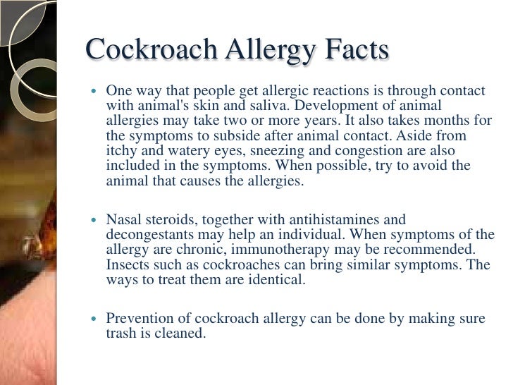 cockroach allergy