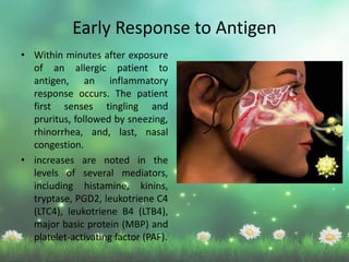 Early Response to Antigen
• Within minutes after exposure
of an allergic patient to
antigen, an inflammatory
response occurs. The patient
first senses tingling and
pruritus, followed by sneezing,
rhinorrhea, and, last, nasal
congestion.
• increases are noted in the
levels of several mediators,
including histamine, kinins,
tryptase, PGD2, leukotriene C4
(LTC4), leukotriene B4 (LTB4),
major basic protein (MBP) and
platelet-activating factor (PAF).
 