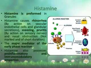 • Histamine is preformed in
Granules
• Histamine causes rhinorrhea
(By action on vascular
endothelial cells and glandular
secretions), sneezing, pruritis
(By action on sensory nerves)
and nasal obstruction (Not
marked and of short duration)
• The major mediator of the
early phase reaction.
• Histamine also possesses
proinflammatory and
immunomodulatory
properties
 