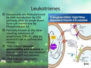  Eicosanoids are Manufactured
by AAA metabolism by LOX
pathway after its break-down
form cell membrane by
Phospholipase A2.
 Formally known as the slow
reacting substance of
anaphylaxis (SRS-A), play an
essential role in asthma and
rhinitis.
 They induce vascular
permeability and oedema in
the nose and are also involved
in eosinophil recruitment.
 LTB4 induces neutrophil
recruitment.
Leukotrienes
 