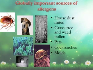 • House dust
mites
• Grass, tree
and weed
pollen
• Pets
• Cockroaches
• Molds
 