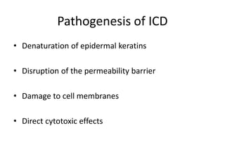 Pathogenesis of ICD
• Denaturation of epidermal keratins
• Disruption of the permeability barrier
• Damage to cell membranes
• Direct cytotoxic effects

 