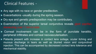 Clinical Features -
 Any age with no race or gender predilection.
 Exacerbations -usually during the spring season.
 Dry eye and genetic predisposition may be contributary.
 Examination of the superior tarsal conjunctiva reveals giant papillae
measuring over 1 mm in size.
 Corneal involvement can be in the form of punctate keratitis,
peripheral infiltrates and corneal neovascularisation.
 Patients present with increase in contact lens soilage, ocular itching and
mucous discharge in tears as well as blurred vision and conjunctival
injection. This can be accompanied by decreased contact lens tolerance and
mechanical stability.
 