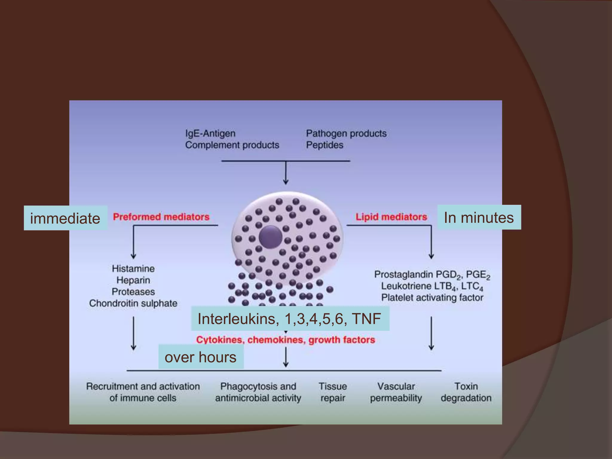 Interleukins, 1,3,4,5,6, TNF
over hours
In minutesimmediate
 
