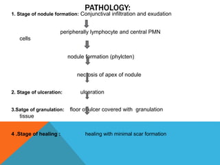 PATHOLOGY:
1. Stage of nodule formation: Conjunctival infiltration and exudation
peripherally lymphocyte and central PMN
cells
nodule formation (phylcten)
necrosis of apex of nodule
2. Stage of ulceration: ulceration
3.Satge of granulation: floor of ulcer covered with granulation
tissue
4 .Stage of healing : healing with minimal scar formation
 