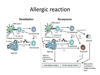Allergic reaction
 