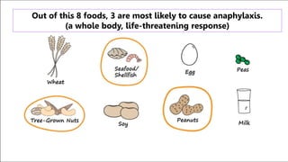 Out of this 8 foods, 3 are most likely to cause anaphylaxis.
(a whole body, life-threatening response)
 