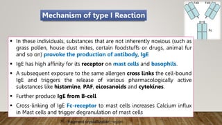  In these individuals, substances that are not inherently noxious (such as
grass pollen, house dust mites, certain foodstuffs or drugs, animal fur
and so on) provoke the production of antibody, IgE
 IgE has high affinity for its receptor on mast cells and basophils.
 A subsequent exposure to the same allergen cross links the cell-bound
IgE and triggers the release of various pharmacologically active
substances like histamine, PAF, eicosanoids and cytokines.
 Further produce IgE from B-cell
 Cross-linking of IgE Fc-receptor to mast cells increases Calcium influx
in Mast cells and trigger degranulation of mast cells
Mechanism of type I Reaction
Fc (fragment crystallizable) region
 