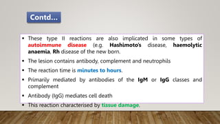  These type II reactions are also implicated in some types of
autoimmune disease (e.g. Hashimoto’s disease, haemolytic
anaemia, Rh disease of the new born.
 The lesion contains antibody, complement and neutrophils
 The reaction time is minutes to hours.
 Primarily mediated by antibodies of the IgM or IgG classes and
complement
 Antibody (IgG) mediates cell death
 This reaction characterised by tissue damage.
Contd…
 