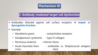 Mechanism III
 Antibodies directed against cell surface receptors  impair or
dysregulate function
 Example:
• Myasthenia gravis - acetylcholine receptors
• Goodpasture's syndrome - type IV collagen
• Pernicious anaemia - intrinsic factor
• Acute rheumatic fever - antibodies vs. Streptococcal antigens
cross- react
3. Antibody-mediated target cell dysfunction
 