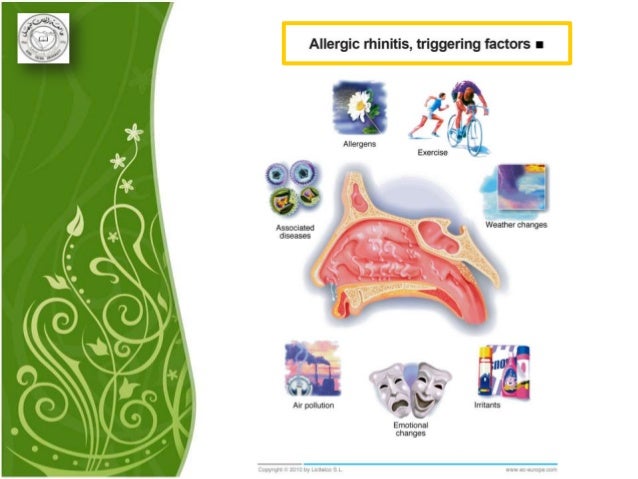 Asthma Allergy Sinusitis