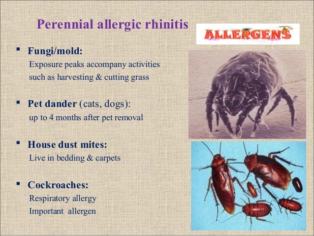 mold blood test for Rhinitis Allergic mold blood test for Rhinitis Allergic