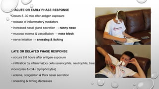 • ACUTE OR EARLY PHASE RESPONSE
Occurs 5–30 min after antigen exposure
• release of inflammatory mediators
• increased nasal gland secretion → runny nose
• mucosal edema & vasodilation → nose block
• nerve irritation → sneezing & itching
LATE OR DELAYED PHASE RESPONSE
• occurs 2-8 hours after antigen exposure
• infiltration by inflammatory cells (eosinophils, neutrophils, basophils,
monocytes & cd4+ t lymphocytes)
• edema, congestion & thick nasal secretion
• sneezing & itching decreases
 