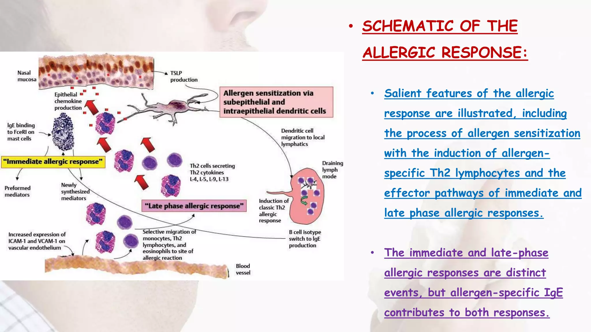 ALLERGIC RHINITIS.pptx