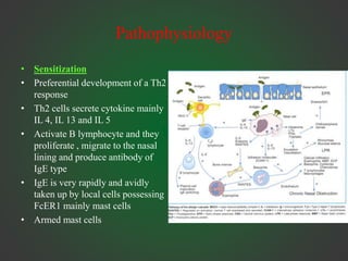 Pathophysiology
• Sensitization
• Preferential development of a Th2
response
• Th2 cells secrete cytokine mainly
IL 4, IL 13 and IL 5
• Activate B lymphocyte and they
proliferate , migrate to the nasal
lining and produce antibody of
IgE type
• IgE is very rapidly and avidly
taken up by local cells possessing
FcER1 mainly mast cells
• Armed mast cells
 