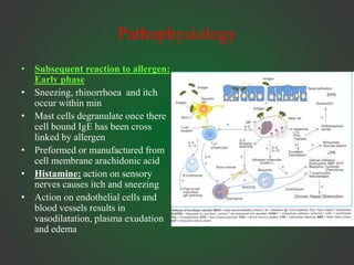 Pathophysiology
• Subsequent reaction to allergen:
Early phase
• Sneezing, rhinorrhoea and itch
occur within min
• Mast cells degranulate once there
cell bound IgE has been cross
linked by allergen
• Preformed or manufactured from
cell membrane arachidonic acid
• Histamine: action on sensory
nerves causes itch and sneezing
• Action on endothelial cells and
blood vessels results in
vasodilatation, plasma exudation
and edema
 