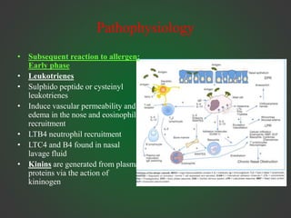 Pathophysiology
• Subsequent reaction to allergen:
Early phase
• Leukotrienes
• Sulphido peptide or cysteinyl
leukotrienes
• Induce vascular permeability and
edema in the nose and eosinophil
recruitment
• LTB4 neutrophil recruitment
• LTC4 and B4 found in nasal
lavage fluid
• Kinins are generated from plasma
proteins via the action of
kininogen
 