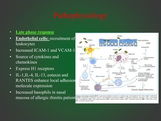 Pathophysiology
• Late phase response
• Endothelial cells: recruitment of
leukocytes
• Increased ICAM-1 and VCAM-1
• Source of cytokines and
chemokines
• Express H1 receptors
• IL-1,IL-4, IL-13, eotaxin and
RANTES enhance local adhesion
molecule expression
• Increased basophils in nasal
mucosa of allergic rhinitis patients
 