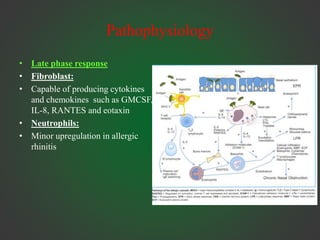 Pathophysiology
• Late phase response
• Fibroblast:
• Capable of producing cytokines
and chemokines such as GMCSF,
IL-8, RANTES and eotaxin
• Neutrophils:
• Minor upregulation in allergic
rhinitis
 