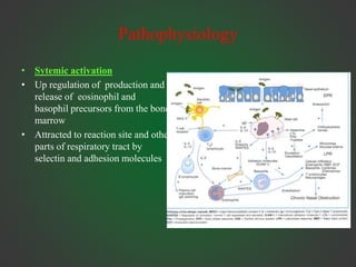 Pathophysiology
• Sytemic activation
• Up regulation of production and
release of eosinophil and
basophil precursors from the bone
marrow
• Attracted to reaction site and other
parts of respiratory tract by
selectin and adhesion molecules
 