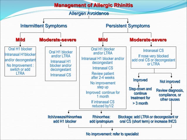 ALLERGIC RHINITIS.ppt | Allergies | Diseases and Conditions