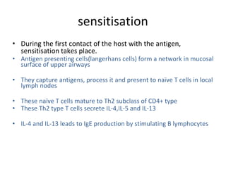 sensitisation
• During the first contact of the host with the antigen,
sensitisation takes place.
• Antigen presenting cells(langerhans cells) form a network in mucosal
surface of upper airways
• They capture antigens, process it and present to naïve T cells in local
lymph nodes
• These naïve T cells mature to Th2 subclass of CD4+ type
• These Th2 type T cells secrete IL-4,IL-5 and IL-13
• IL-4 and IL-13 leads to IgE production by stimulating B lymphocytes
 