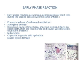 EARLY PHASE REACTION
• Early phase reaction occurs from degranulation of mast cells
during the second contact with the same antigen :
• Primary mediators/preformed mediators:
• a)Biogenic amines-
• Histamine causes rhinorrhoea, sneezing, itching. Effects on
nasal obstruction are less marked and causes vasodilatation,
exudation, oedema.
• b) Enzymes-
• Chymase, tryptase, acid hydrolase
causes tissue damage
 