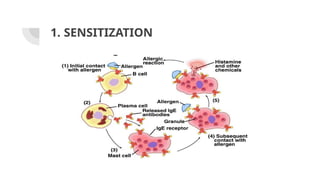Comprehensive Overview of Allergic Rhinitis and Nasal Polyposis ...