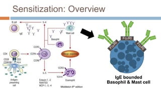 Sensitization: Overview
IgE bounded
Basophil & Mast cell
FcɛRI
Middleton 8th edition
 