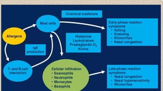 Allergic rhinitis ent shalakyatantra.pptx