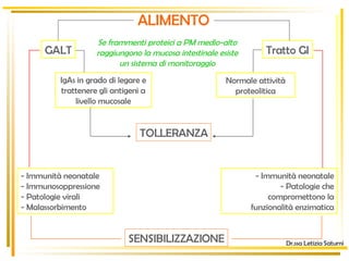 ALIMENTO TOLLERANZA Tratto GI Normale attività proteolitica Dr.ssa Letizia Saturni Se frammenti proteici a PM medio-alto raggiungono la mucosa intestinale esiste un sistema di monitoraggio GALT IgAs in grado di legare e trattenere gli antigeni a livello mucosale - Immunità neonatale - Immunosoppressione - Patologie virali - Malassorbimento - Immunità neonatale - Patologie che compromettono la funzionalità enzimatica SENSIBILIZZAZIONE 