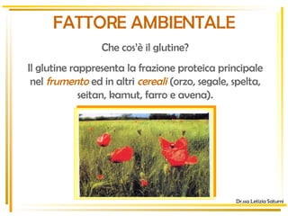 Che cos’è il glutine? Il glutine rappresenta la frazione proteica principale nel  frumento  ed in altri  cereali  (orzo, segale, spelta, seitan, kamut, farro e avena). Dr.ssa Letizia Saturni FATTORE AMBIENTALE 